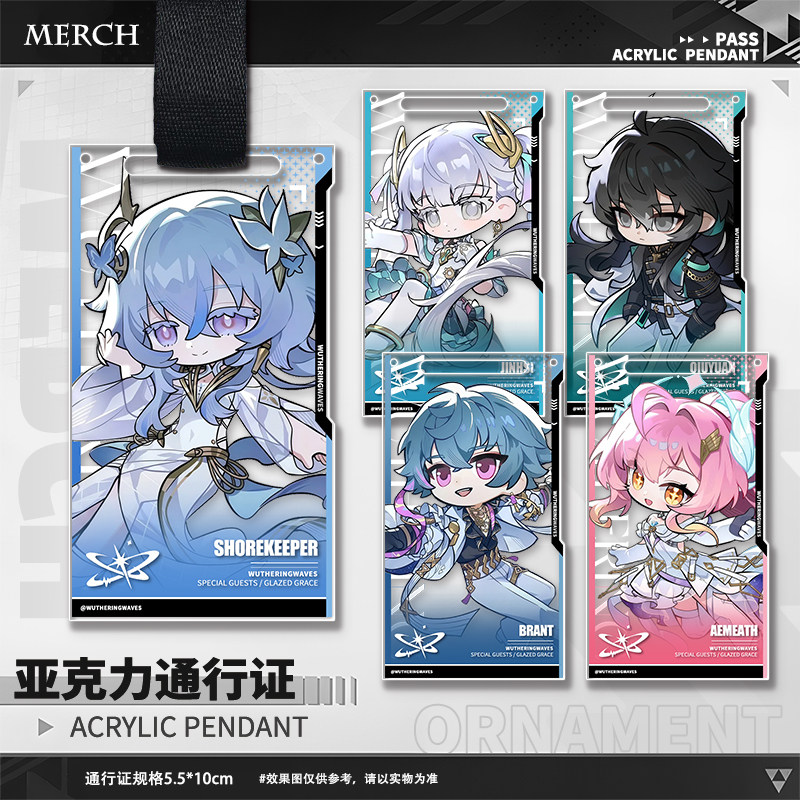 Game Wuthering Waves Aemeath T - Anime Merchandise Bag 评论和价格